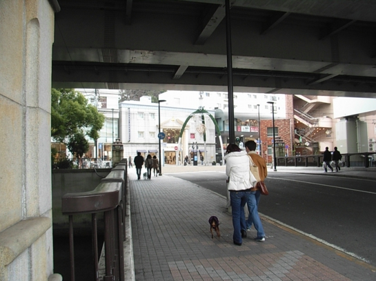 Puppy in Yokohama28.JPG