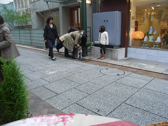 Puppy in Yokohama35.JPG