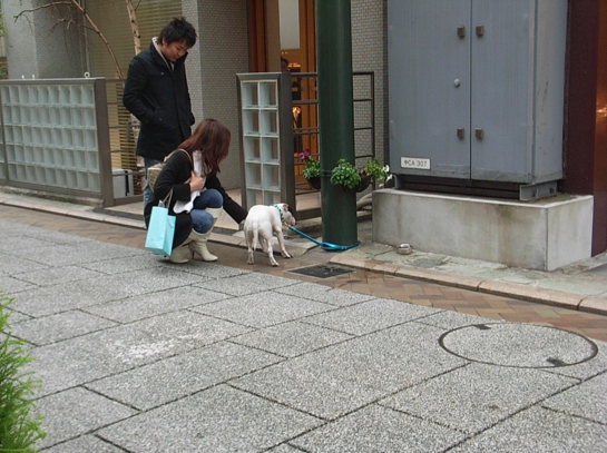 Puppy in Yokohama37.JPG