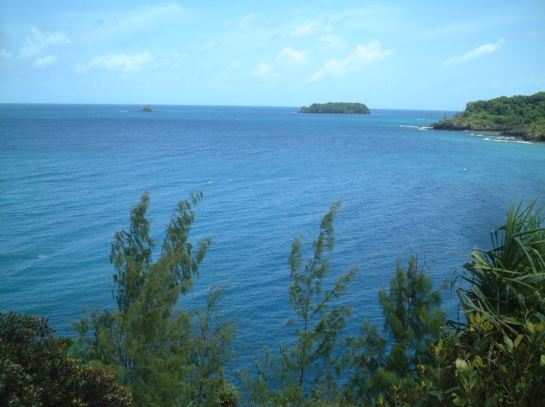 Palau4-07.JPG